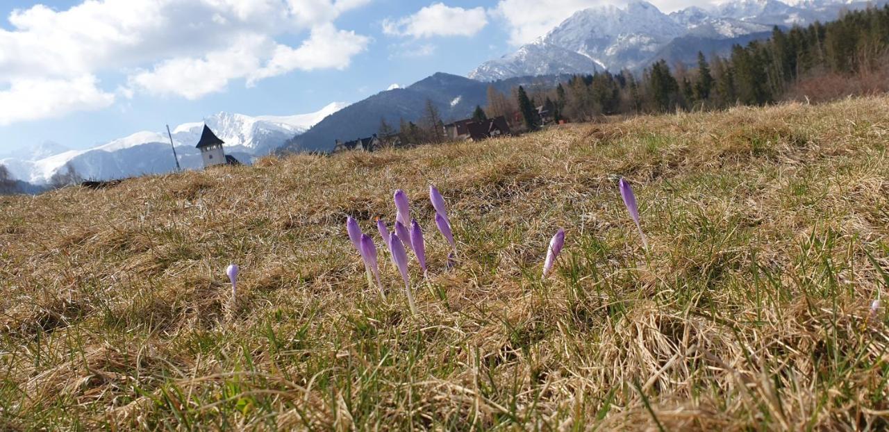 Apartament Na Brzyzku Zakopane Ngoại thất bức ảnh